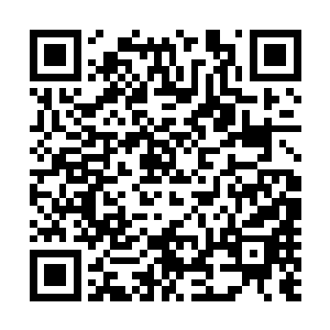 为什么她总能在他好不容易心如止水的时候故意的闯荡进来二维码生成