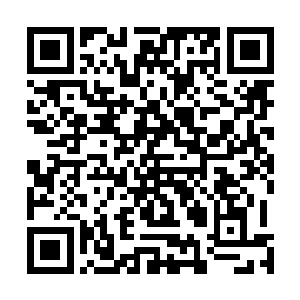 为什么小蕊在这个时候竟会莫名其妙地吟诵出这首古诗呢二维码生成