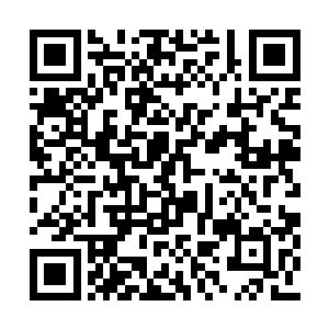 为什么就要涉及到这么多让人痛苦纠结的事情呢二维码生成