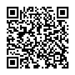 为什么平时都很睿智的人遇到感情的事儿都这么盲目呢二维码生成