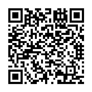 为什么当初就不用你能一刀杀死他们的能力将他们全部干掉呢二维码生成