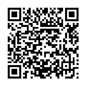为什么当年连白熊这样的俄罗斯巨汉都没能入选路西法小队二维码生成