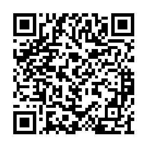 为什么徐清尘还是要生气…她的手会写断掉的…二维码生成