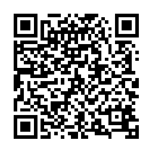 为什么我一个仙帝后期巅峰在她的面前会感觉到如山的压力二维码生成