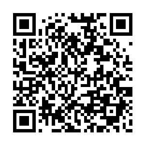 为什么我五个月都赶上别人快生的时候那么大了二维码生成