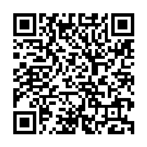 为什么我们不让丰州地区经开区或者是丰州市来接过这一棒呢二维码生成