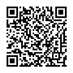 为什么我会在清北大学的图书馆开新书发布会呢二维码生成