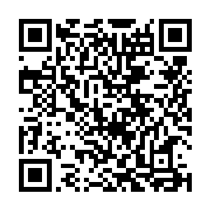 为什么我感觉不只是缩短元婴晋升化神时间这么简单呢二维码生成