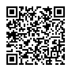 为什么我玄黄宗的镇宗宝典竟然出现在了拍卖会上二维码生成