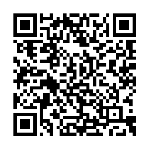 为什么我还没有出招你就已经知道我要做什么了二维码生成