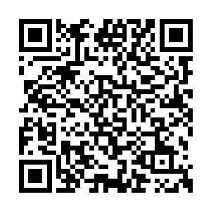 为什么敢嚣张的瀚海星域这个公共之地收入囊中二维码生成