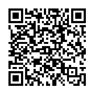 为什么曼城的主教练贝尼特斯没有干预荣光的举动二维码生成