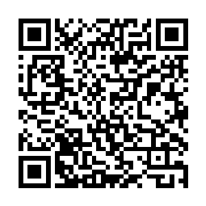 为什么每一个碳基智慧生命的文明在发展到巅峰之后二维码生成