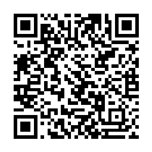 为什么池佳一在这矩阵现实世界又从新拥有超能力了二维码生成