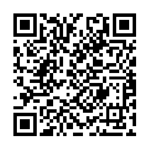 为什么派苏新亮这个什么都不懂的家伙来当副区长二维码生成