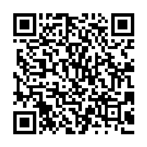 为什么王君大人会安排这两人与他一起参与这次危险至极的战役二维码生成