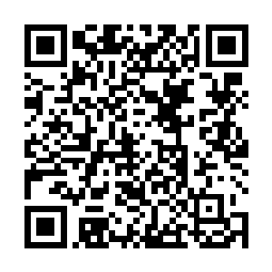 为什么胸膛里的那颗心脏却满满的承载着所有的罪恶感二维码生成