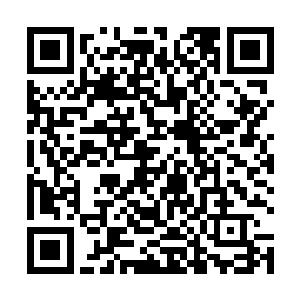 为什么自己在他的面前这么一点点的自制力都没有了呢二维码生成