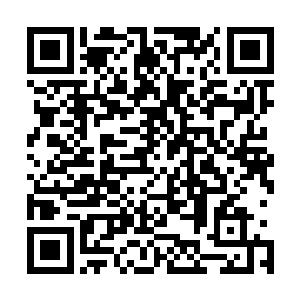 为什么自己就不能在这里等着他们背后的那个策划者出来呢二维码生成
