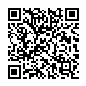 为什么自己手里的枪和手机会到了那盗墓贼的手里二维码生成