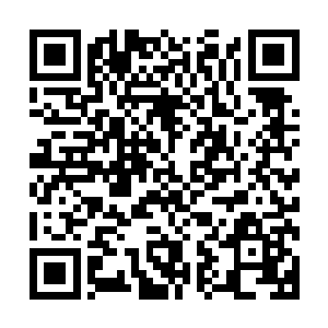 为什么自己这么善良耿直的儿子会干出这等大逆不道的事情来二维码生成
