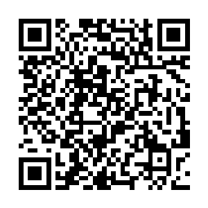 为什么西楚皇要派这个看起来就很胆小的九王爷过来二维码生成