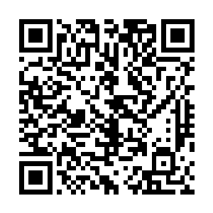 为什么要在纽约苦哈哈的干十二个月一共拿那两三万美元二维码生成