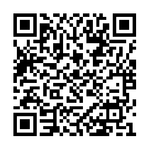 为什么要把这么重要的事情交给那个糊涂蛋扎伊二维码生成