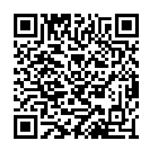 为什么要浪费自己宝贵的天赋和更加宝贵的生命二维码生成