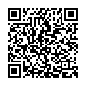 为什么要眼睁睁的看着你的子民都被吸血怪吃掉二维码生成