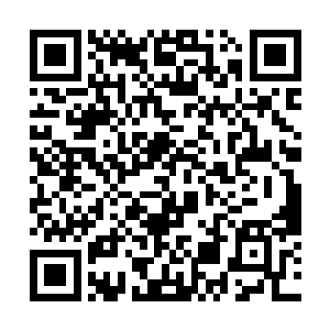 为什么这一回裴元修会那么放心的让我跟着谢烽过来二维码生成