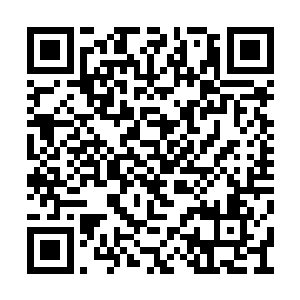 为什么这些本应该完全死去的丧尸竟然又能动了二维码生成