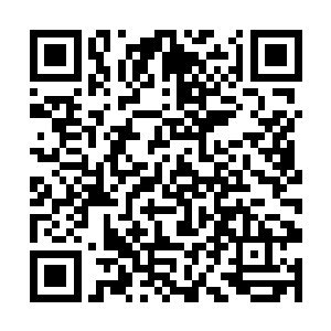 为什么这些血气可以进入灵穴且对自己丝毫没有影响二维码生成
