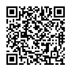 为什么这家伙的这一拳有着有着这么强大的力道二维码生成