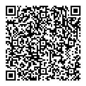 为什么这次的目标和之前把自己抓住的那个小男孩一样 他们根本就沒有碰到自己的身体 可为什么自己却会被打到二维码生成