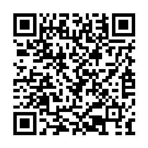 为什么这铁熊吴倩倩显然已经来到这个时代已久二维码生成