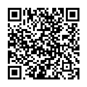 为什么那晚见了苏落和南宫二少后才决定进入宁家族地生死谷二维码生成