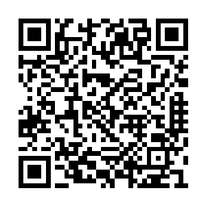 为什么除了空中强盗之外没有任何使用这套装备二维码生成