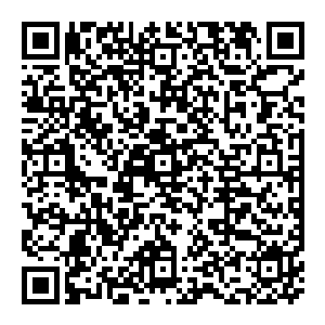 为什么麓山集团这家在贷款融资和各种公共服务以及政府的政策支持都远不能和国营这几家纺织企业相提并论的乡镇企业二维码生成