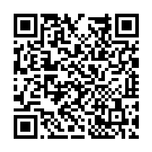 为他们每人配备防御和攻击两件五品后期巅峰仙器二维码生成