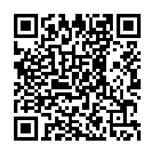 为以后炼化龙脊骨和龙珠这两样真龙秘宝做准备二维码生成