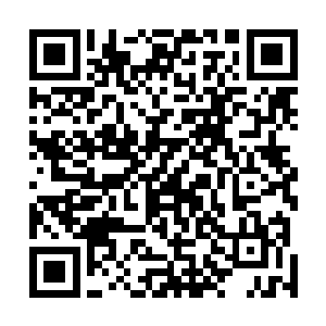 为何三号金令舱室的客人会辞退了为他服务的所有女修士二维码生成