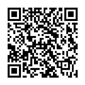 为何从第一眼看到这个少年就会有一种莫名的亲近感了二维码生成