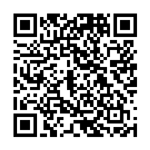 为何他今天没有像往常那般对陈长生冷嘲热讽一番二维码生成