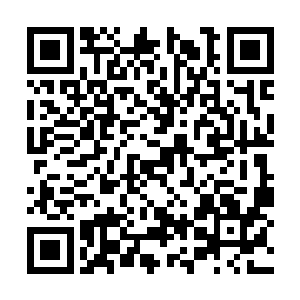 为何他会这么突然的毫无预兆的就到了自己的家中二维码生成