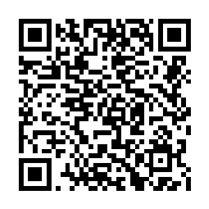 为何伏杀酉丁域都统褚子山以至于惹出一场血战二维码生成