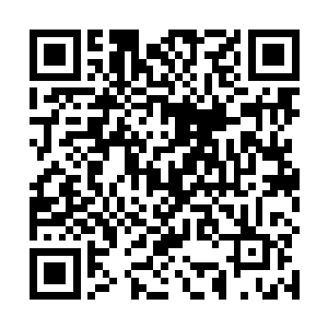 为何你却始终都没有命令骷髅军团去试图伤害过我妹妹二维码生成