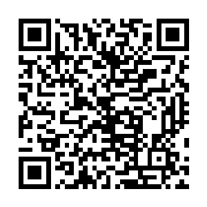 为何却一直没有去北辰皇朝或者迷族找慕容玥和东方青妍二维码生成