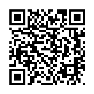 为何在半个月内迟迟不肯放出消息呢二维码生成