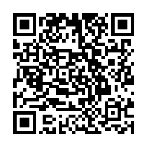 为何就要用之后的生命来赌她根本就不可能赢的游戏二维码生成